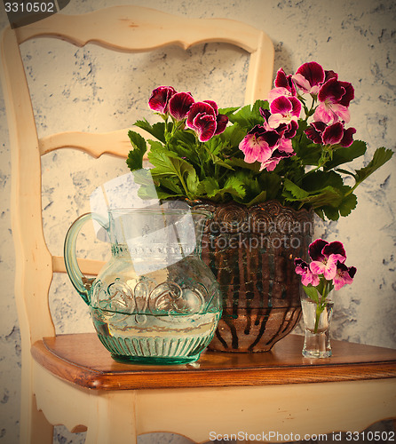 Image of geranium and a jug of water