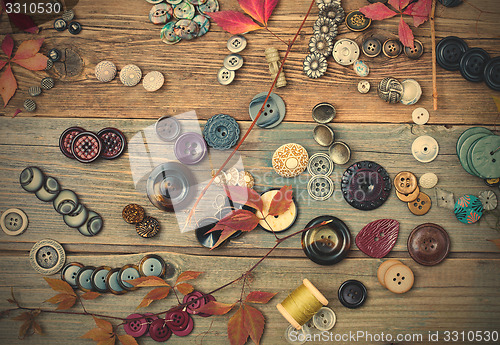 Image of vintage buttons with dried branches