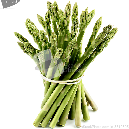 Image of Asparagus Sprouts