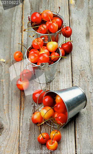 Image of Sweet Maraschino Cherries