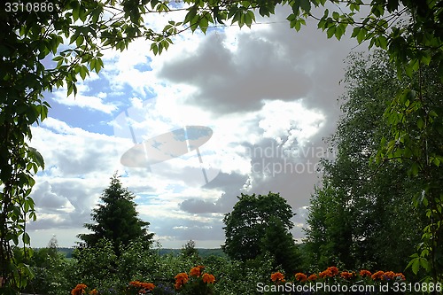 Image of ivy and flowers form a rame