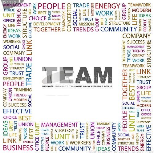 Image of TEAM
