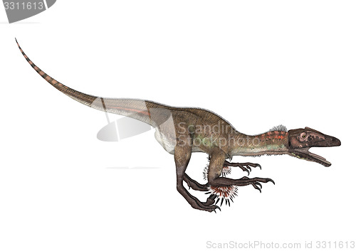 Image of Dinosaur Utahraptor