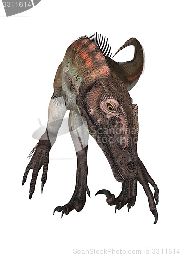 Image of Dinosaur Utahraptor