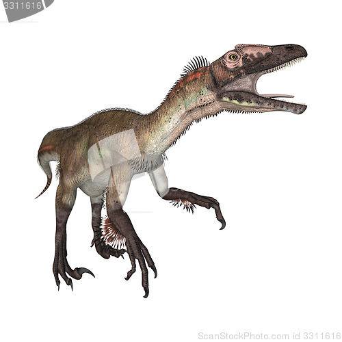 Image of Dinosaur Utahraptor