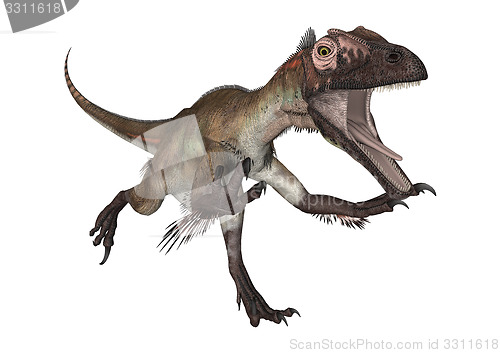 Image of Dinosaur Utahraptor