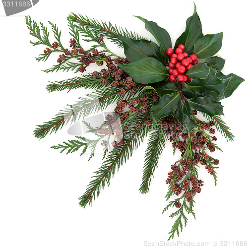 Image of Christmas Floral Display