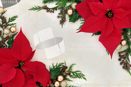 Image of Poinsettia Flower Border