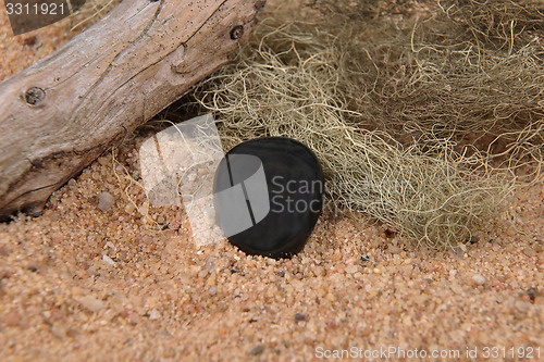 Image of Obsidian on beach