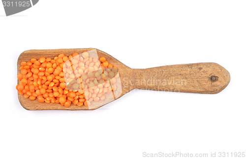 Image of Red lentils on shovel