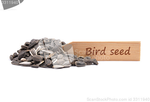 Image of Bird seed at plate