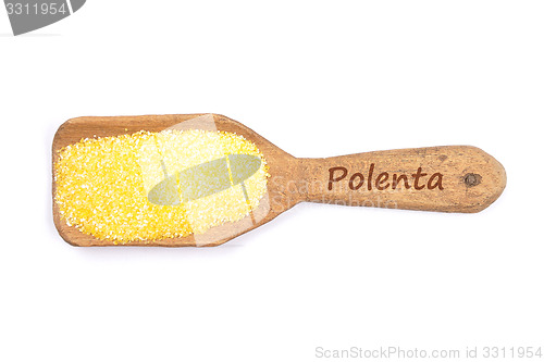 Image of Polenta on shovel