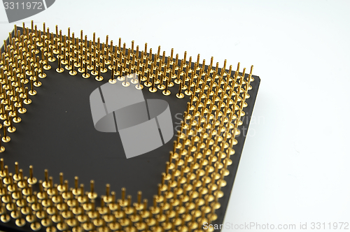 Image of Processor seen from the gold pins on a white background.