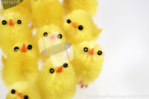 Image of Little yellow chickens. Easter decorations.
