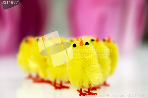 Image of Little yellow chickens. Easter decorations.