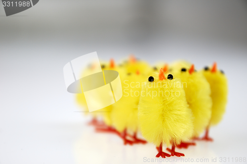 Image of Little yellow chickens. Easter decorations.