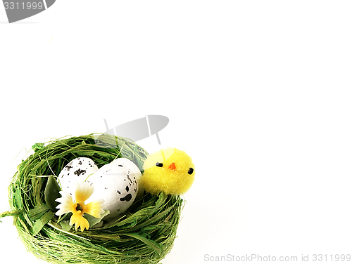 Image of Easter chicken and eggs in the nest.