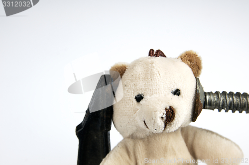 Image of Clamp on the head teddy bear toy.