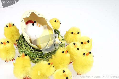 Image of Little yellow chickens. Easter decorations.