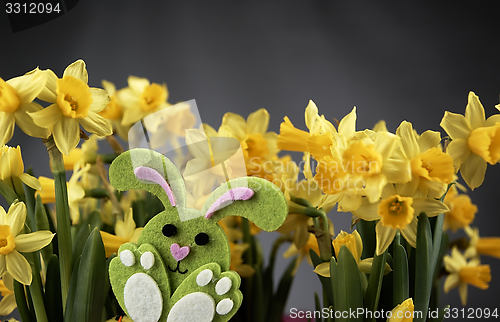 Image of Easter bunny and yellow daffodils.