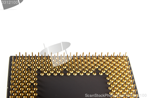 Image of Processor seen from the gold pins on a white background.