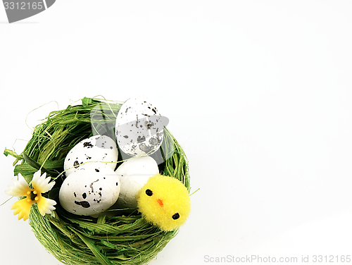 Image of Easter chicken and eggs in the nest.