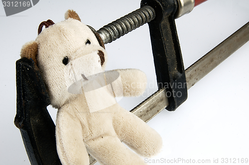 Image of Clamp on the head teddy bear toy.