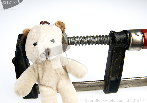 Image of Clamp on the head teddy bear toy.