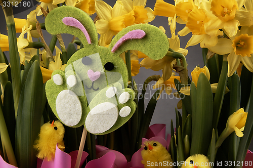 Image of Easter bunny and yellow daffodils.