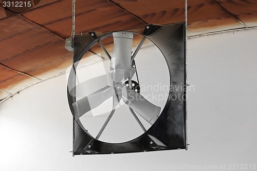 Image of Fan