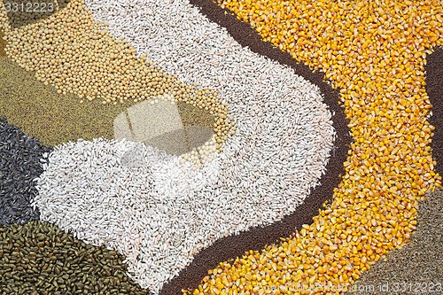 Image of Seeds