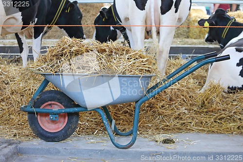 Image of Wheelbarrow