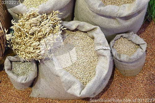 Image of Wheat