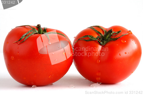 Image of Two fresh and juicy tomatoes