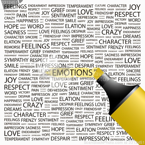 Image of EMOTIONS.