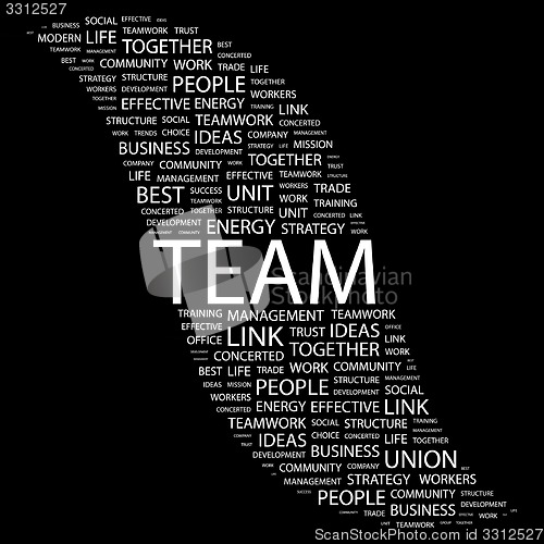 Image of TEAM