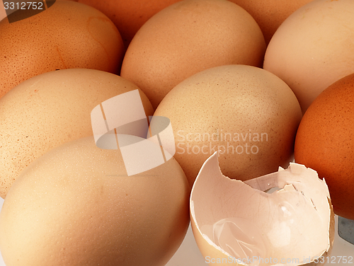 Image of Eggshell against equal rows lying eggs.