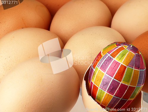 Image of Colorful Easter egg in the company of ordinary eggs.