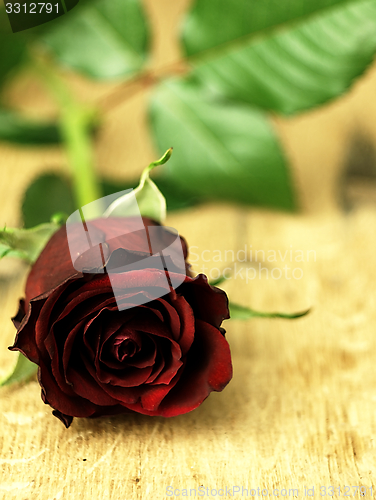 Image of Red rose on a wooden table.