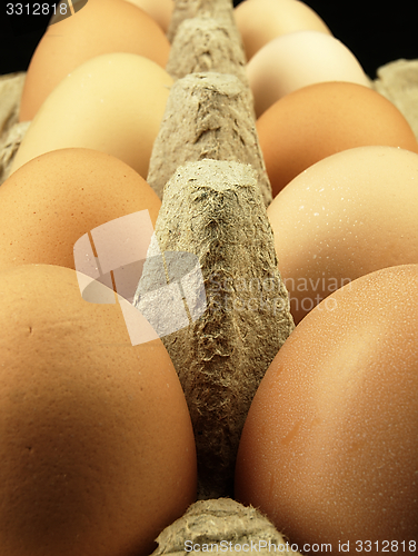 Image of Fresh eggs in the box.