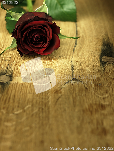 Image of Red rose on a wooden table.