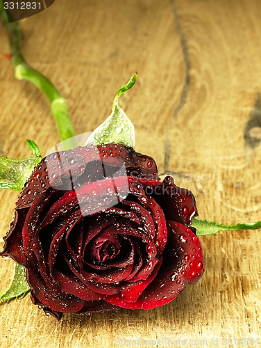 Image of Red rose on the table and dew drops.