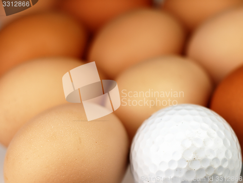 Image of Golf ball lying among the eggs.