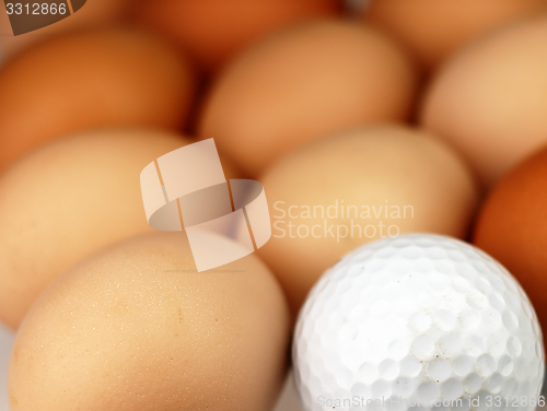 Image of Golf ball lying among the eggs.
