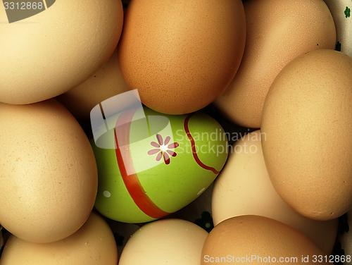 Image of Colorful Easter eggs in the company of ordinary eggs.