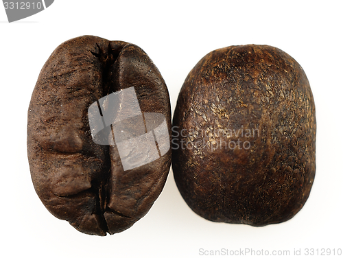 Image of Coffee beans on a white background.