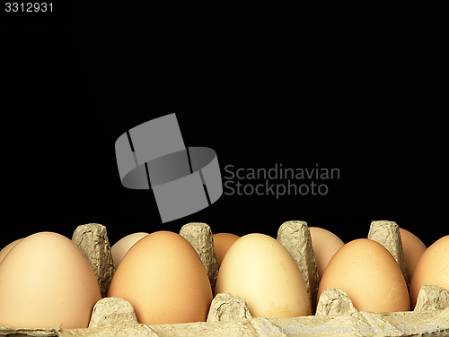 Image of Fresh eggs in the box.