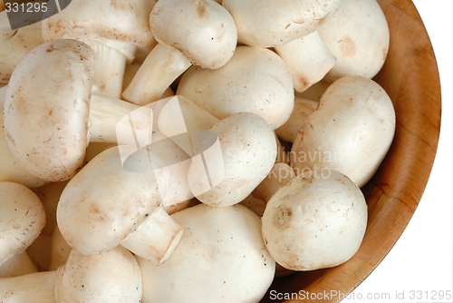 Image of Mushrooms
