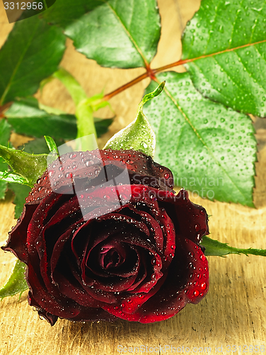 Image of Red rose on the table and dew drops.