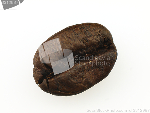 Image of Coffee beans on a white background.